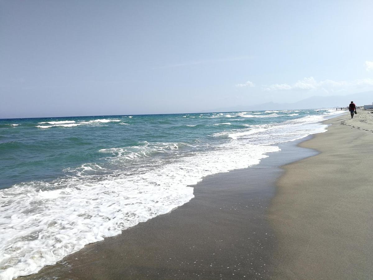 Agreable Studio 50M De La Plage 카네트 외부 사진